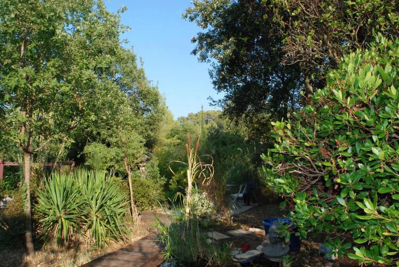 Le Chalet De La Villa Terre Neuve Signes France